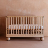 Zali Ashwood Cot