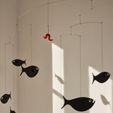 Flensted Shoal Of Fish