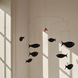 Flensted Shoal Of Fish