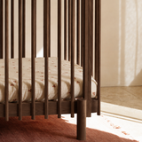 Raye Walnut Cot