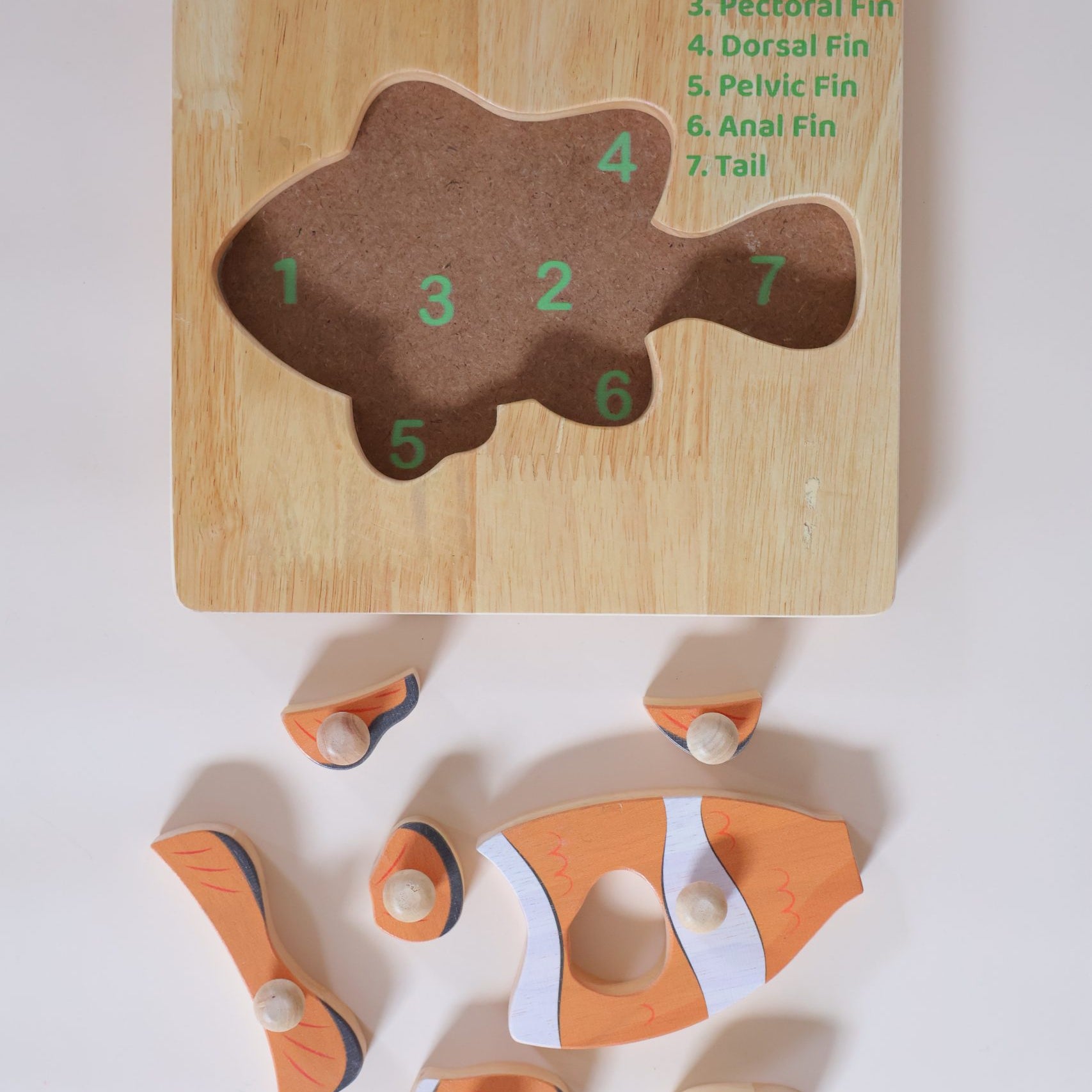 Montessori Fish Puzzle
