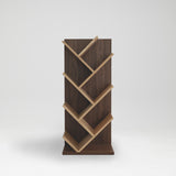 Artie Bookshelf