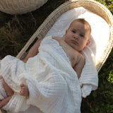 Organic Bassinet Sheet Blanc