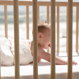 Organic Cot Sheet Blanc