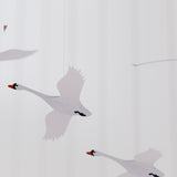 Flensted Scandinavian Swans